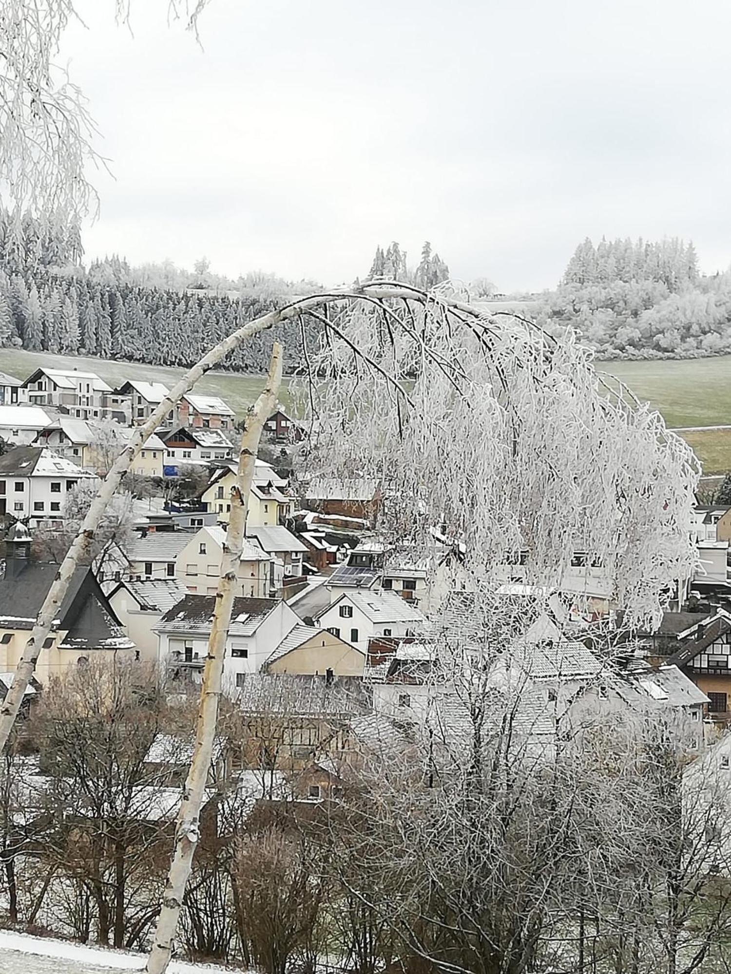 Am Lindenbaum, Ferienwohnung In Siebenbach Am Nuerburgring Bagian luar foto