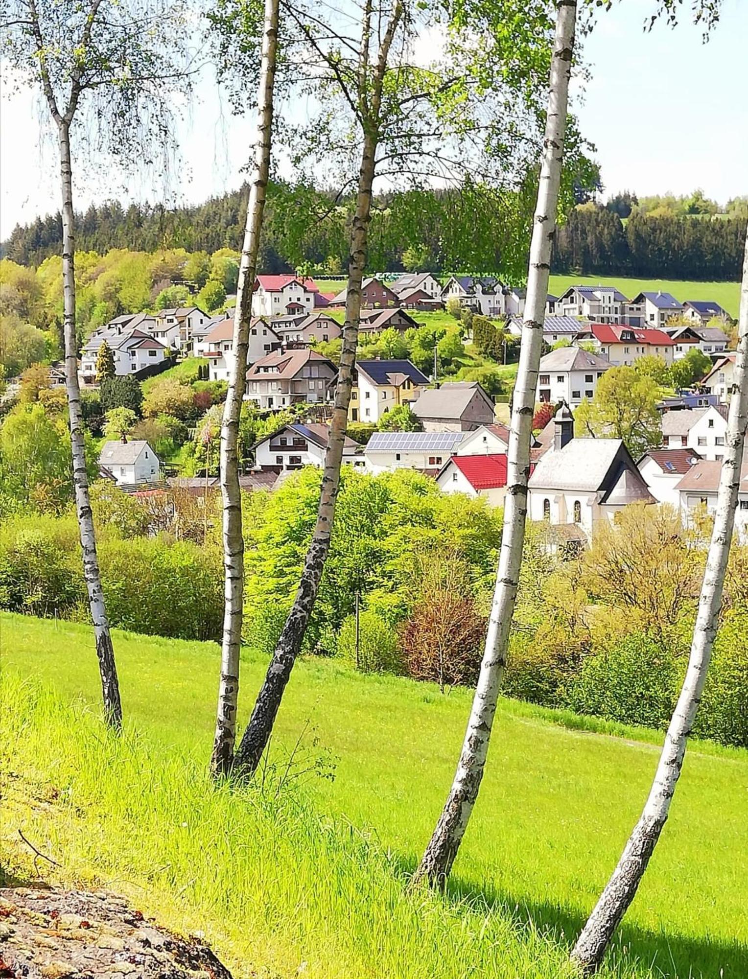 Am Lindenbaum, Ferienwohnung In Siebenbach Am Nuerburgring Bagian luar foto