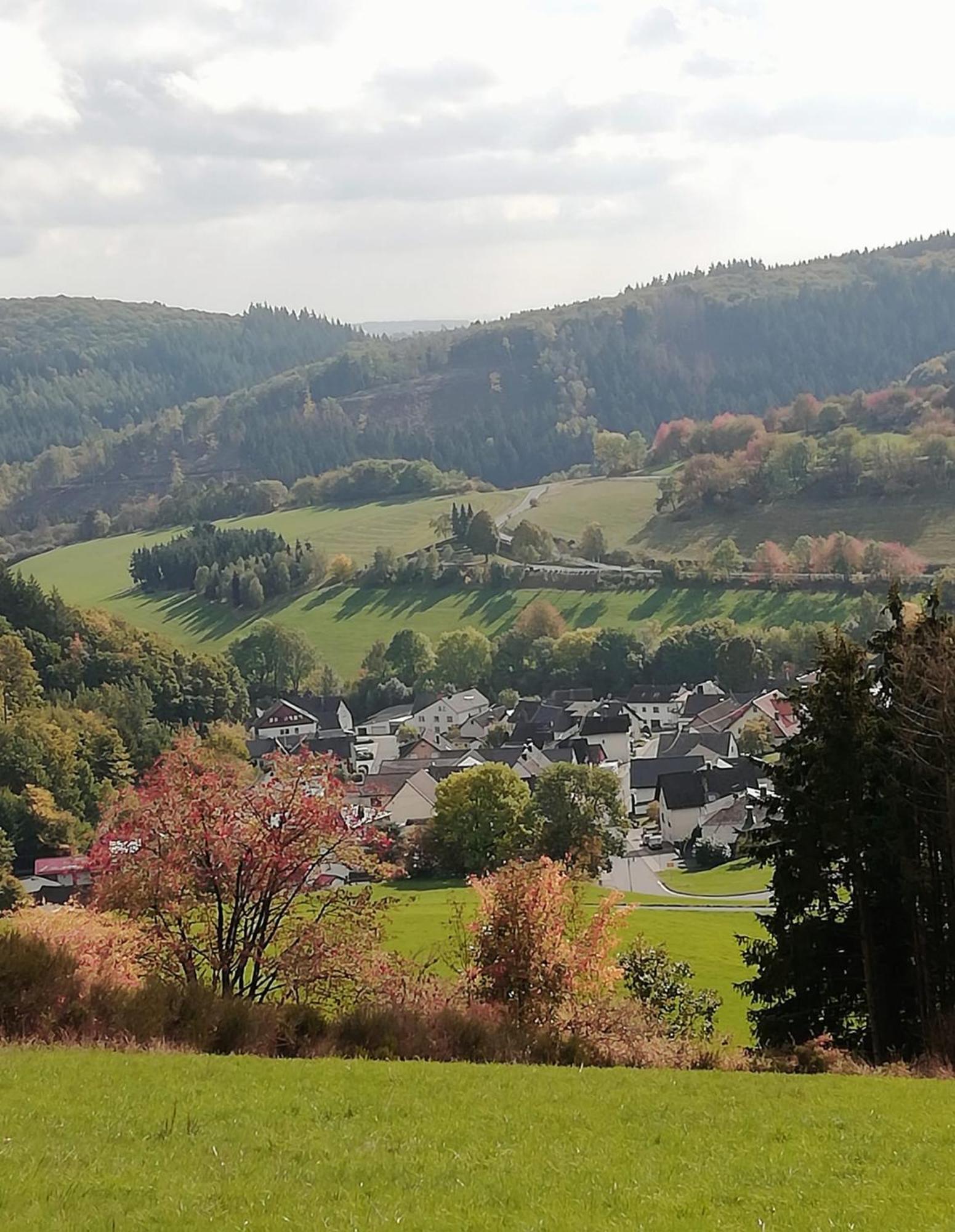 Am Lindenbaum, Ferienwohnung In Siebenbach Am Nuerburgring Bagian luar foto
